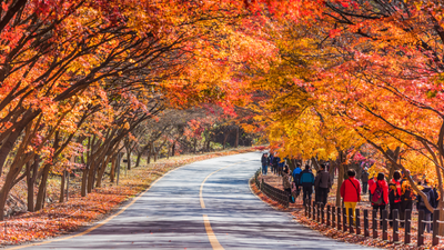 SOUTH KOREA TOUR - SEOUL: EXPERIENCE THE LAND OF KIMCHI - Image - 1302