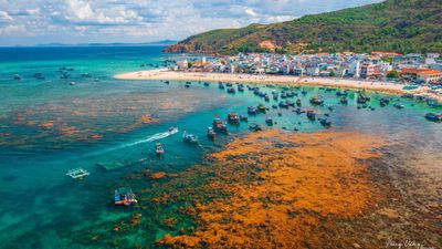 HÀ NỘI - QUY NHƠN - HÀ NỘI [4N3Đ] - Image - 14110