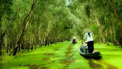MIỀN TÂY MONO: CẦN THƠ - SÓC TRĂNG - BẠC LIÊU - CÀ MAU - AN GIANG [4N3Đ] - Image - 14181