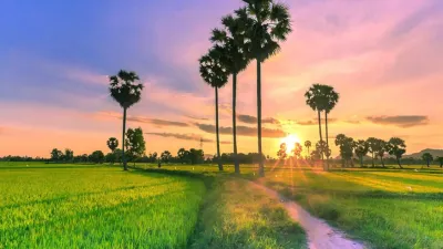 MIỀN TÂY MONO: CẦN THƠ - SÓC TRĂNG - BẠC LIÊU - CÀ MAU - AN GIANG [4N3Đ] - Image - 14179