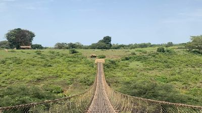 North Ethiopia Trek Tour - Image - 25342