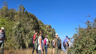 North Ethiopia Trek Tour - Image - 25347