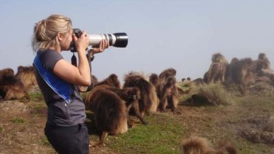 North Ethiopia Trek Tour - Image - 25340