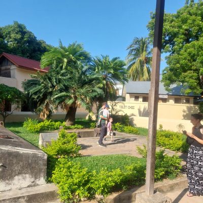 Wild Safari Zanzibar Escape - Image - 12965