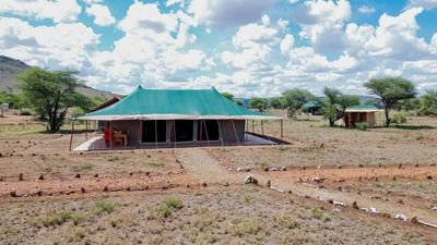 6 Days Tanzania Wildlife safari - Image - 20774