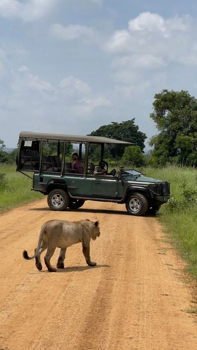 Wild Safari Zanzibar Escape - Image - 12949