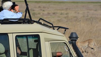 3 Days / 2 Nights Maasai Mara National Reserve Safari - Image - 14400