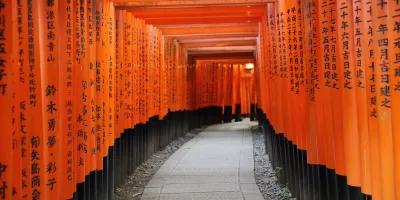 TOKYO - MOUNT FUJI - KYOTO - OSAKA - Image - 550