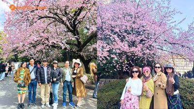[HOT] Tour Nhật Bản Mùa Hoa Anh Đào Bán Chạy Nhất 2026: Osaka - Kobe - Kyoto - Nagoya - Núi Phú Sĩ - Tokyo 6N5Đ - Image - 9136
