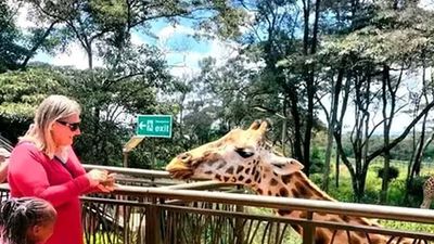 Nairobi: Guided Giraffe Center Experience And Nature Trail Tour. - Image - 8752