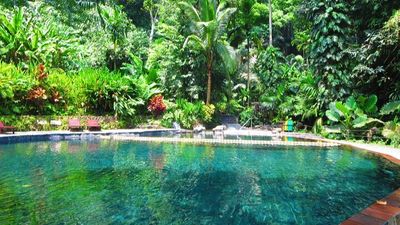 Philippines Journey: Hidden Valley Day Tour - Image - 9873