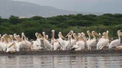 5-Day Wildlife And Nature Safari Experience - Image - 13516