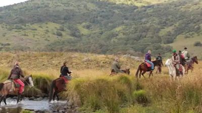 5-Day Wildlife And Nature Safari Experience - Image - 13519
