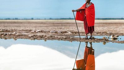 11 Days / 10 Nights Kenya Safari & Beach Experience Maasai Mara – Lake Nakuru – Amboseli – Diani Beach - Image - 14405