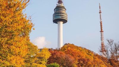 [6 ngày 5 đêm-VN] Khám phá hoa anh đào: BUSAN – SEOUL – ĐẢO NAMI – NAMSAN – INCHEON - Image - 6807