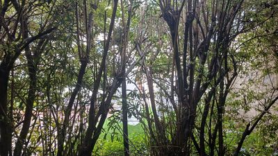 1-Day Debre Libanos And Portuguese Bridge Excursion - Image - 13497