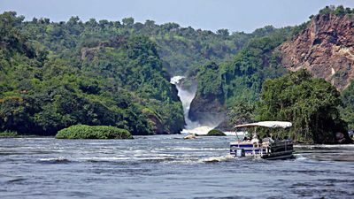 8-Day Custom Safari (Big 5) & Gorilla Trekking in Uganda - Image - 26697