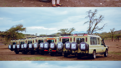 6-Day Best Value Safari in Tanzania - Image - 20453