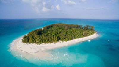 13 Day Unforgettable Tanzania wildlife Safari and Zanzibar Beach Paradise - Image - 11771