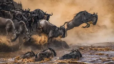6 Days / 5 Nights Maasai Mara, Lake Naivasha, Amboseli & Tsavo West Safari - Image - 14576