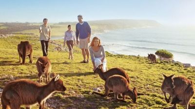 HÀNH TRÌNH KHÁM PHÁ XỨ SỞ CHUỘT TÚI HÀ NỘI – SYDNEY – CANBERRA – MELBOURNE – HÀ NỘI 7N6Đ - Image - 15154