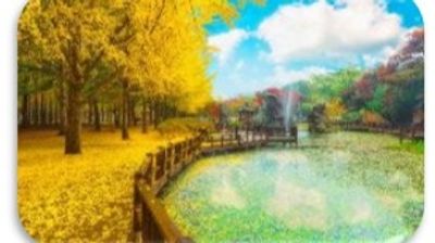 SEOUL – NAMI - EVERLAND - Image - 19739