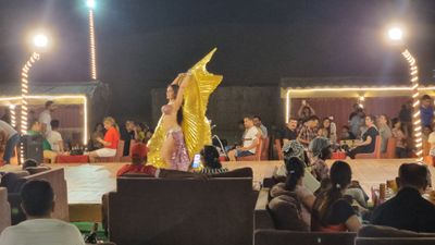 PREMIUM DESERT SAFARI TOUR - DUBAI - Image - 25141