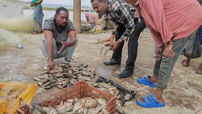 6 Days Addis Ababa & Southern Ethiopia Overland Tour - Image - 11828