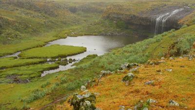 6-Day Bale Mountains & Awash Park Safari - Image - 13481