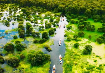 Mekong Delta 3 Days (My Tho – Ben Tre – Can Tho – Chau Doc) – Exist Phnom Penh - Image - 17574
