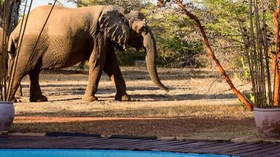3 Days Masai Mara Safari – Private Midrange Adventure - Image - 12892