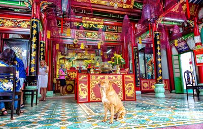 Coconut Jungle – Hoi An Old Town – Boat Ride & Release Flower Lantern Half Day - Image - 17225