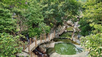 Than Tai Hot Springs Park 1-Day Tour - Image - 21239