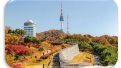 SEOUL – NAMI - EVERLAND - Image - 19737
