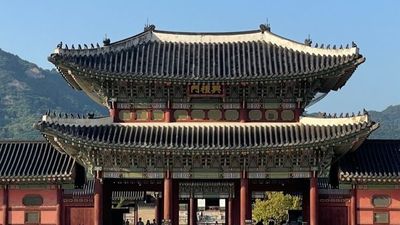 [6 ngày 5 đêm-VJ]Khám phá mùa hè Hàn Quốc: BUSAN -SEOUL– ĐẢO NAMI – INCHEON- THƯ VIỆN SÁCH- ĐI PHÀ CHO HẢI ÂU ĂN - TRẢI NGHIỆM TÀU CAO TỐC KTX - Image - 6797