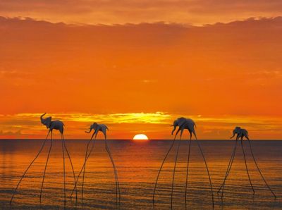 Phu Quoc Sunset Town – Kiss Bridge 1 day - Image - 16112