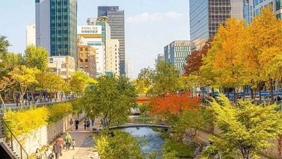 JINAN - SEOUL - NAMI - EVERLAND - Image - 20339