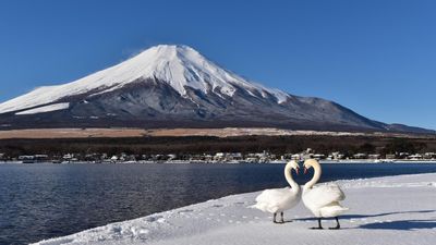 [NHẬT BẢN HÈ 6N5Đ] TP HỒ CHÍ MINH - TOKYO – FUJI – NAGOYA – KYOTO – OSAKA - Image - 13344
