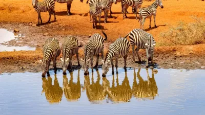 7 Days Best of Kenya safari - Image - 10751