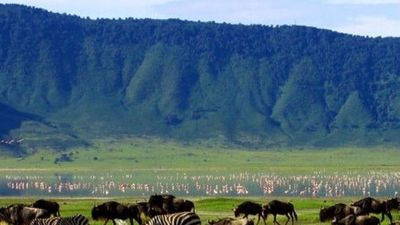 7 Days Tanzania Wildlife Safari – Serengeti, Ngorongoro, Tarangire & Lake Manyara - Image - 25209