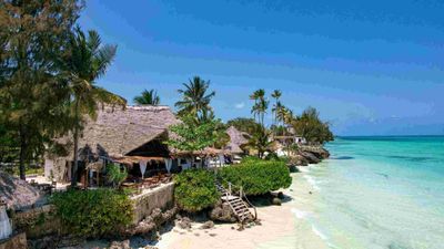Ultimate Tanzania Wildlife Safari & Zanzibar Beach Holiday - Image - 25227