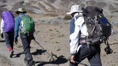 TAE Kilimanjaro Marangu Route Summit Adventure (7 Days Climb) - Image - 25365