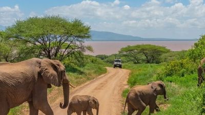 Ultimate Tanzania Wildlife Safari & Zanzibar Beach Holiday - Image - 25221