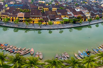 Coconut Jungle – Hoi An Old Town – Boat Ride & Release Flower Lantern Half Day - Image - 17222