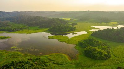 Discover Cat Tien National Park 2 Days 1 Night - Image - 17512