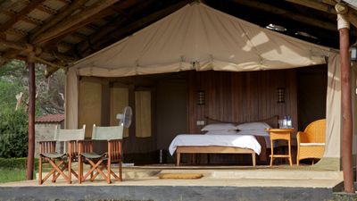 4 Days Maasai Mara & Lake Nakuru Safari in 4x4 Land Cruiser - Image - 13453