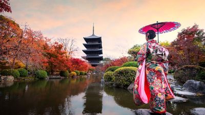 6 ngày 5 đêm (về chiều) CUNG ĐƯỜNG VÀNG NHẬT BẢN - RỰC RỠ SẮC HOA KOBE – OSAKA – KYOTO – NAGOYA – PHÚ SĨ – TOKYO (NO SHOPPING) - Image - 8695