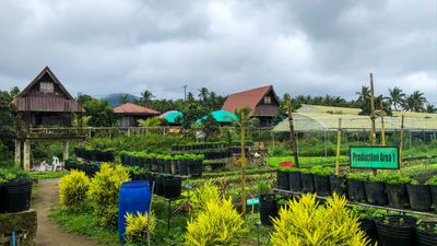 Philippines Journey: Costales Nature Farm Day Tour - Image - 9867