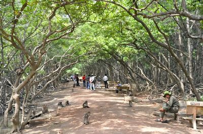 Can Gio – Monkey Island Full Day - Image - 17726