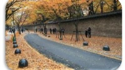 SEOUL – NAMI - EVERLAND - Image - 19738